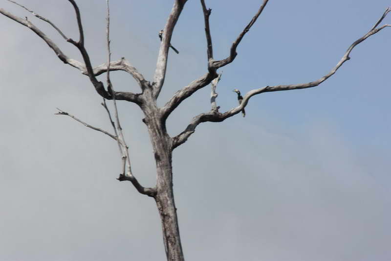 [q][i]อ้างถึง: piaks posted: 17-08-2553, 07:42:59[/i]

โอ้ววววว.....