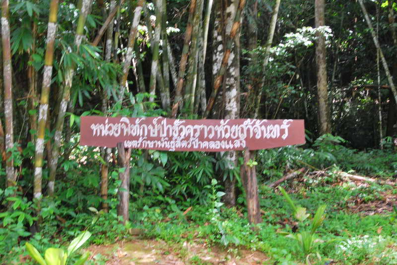 [q][i]อ้างถึง: saosin posted: 17-08-2553, 11:41:42[/i]

+งามจริงๆๆ