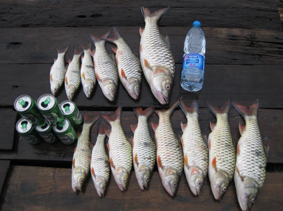 กะสูบรวมครับ     กินเหยื่อดีมากครับ    :cheer: