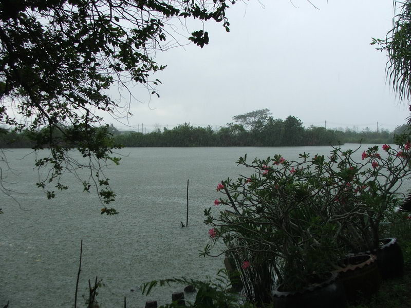 มาได้แป็ปเดี่ยวฝนตกอย่างหนักวันนี