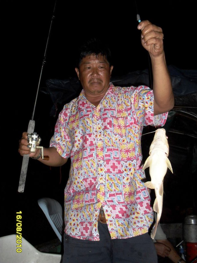 กดหลาว