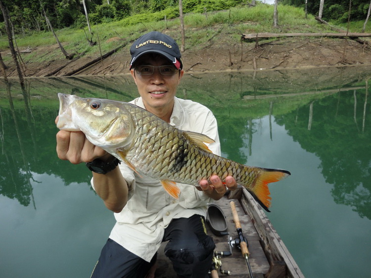 ได้กระสูบ กับปลาช่อนกระสง มาเชยชมครับ