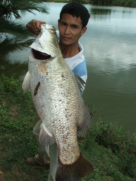 น้องปิ่นขออีกรูป จัดไป :cheer: :cheer: :cheer: :cheer: