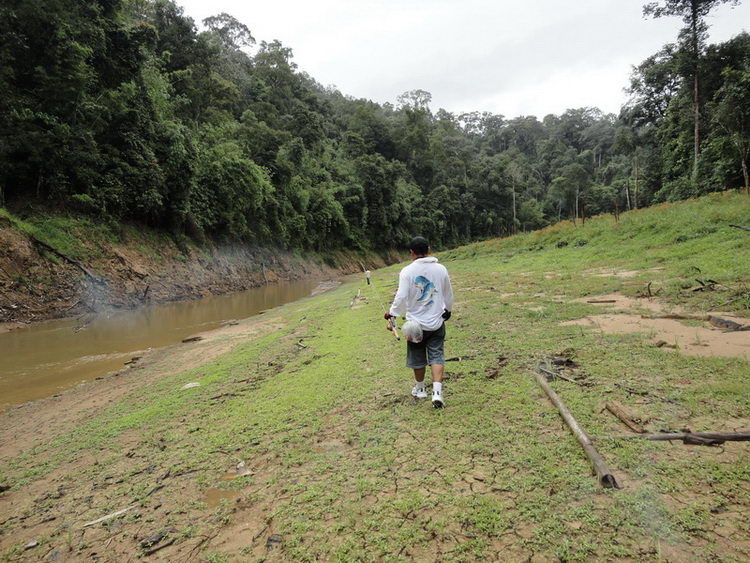 ลุงไพ บอกว่า ไปหาดูปลาช่อนข้าหลวง 