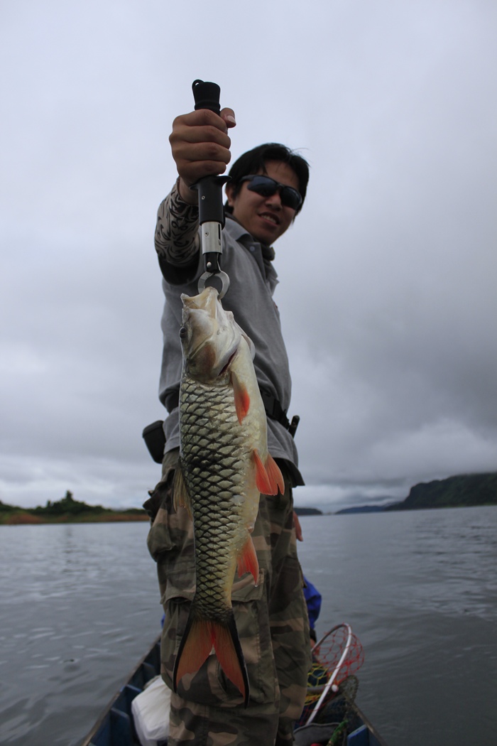 ช่วงเช้ากำลังนั่งเรือเข้าหมายปลาขึ้นข้างเรือพอดีเลยกดมาซะเลย  ส่วนปลาพี่เด๊ะหลุด  :laughing: :cool:
