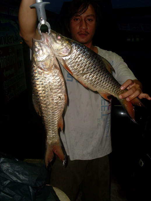 พอกิน :umh: