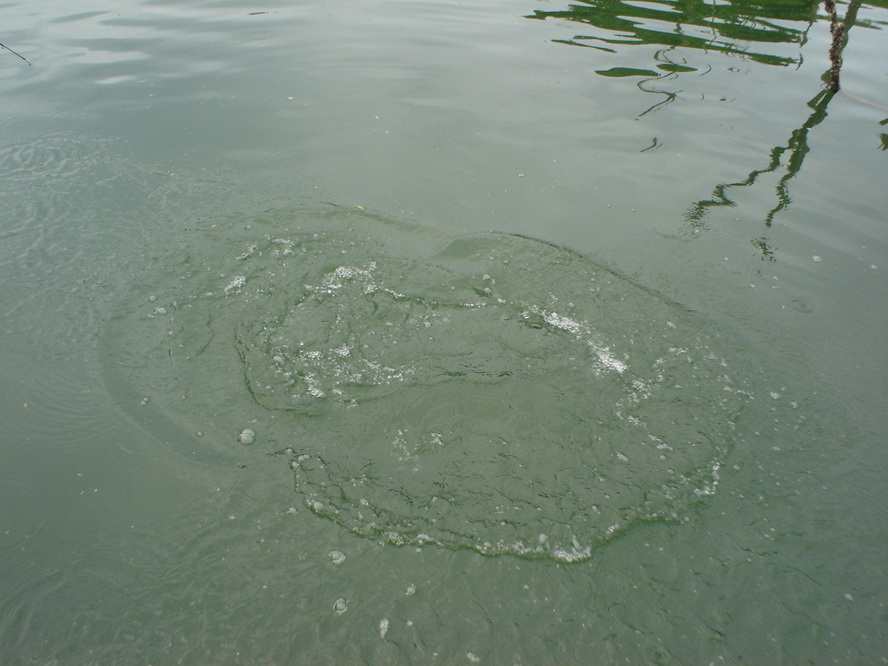  :love: