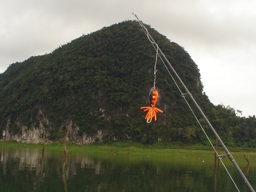 ภูเขาลูกนี้เป็นสัญญลักษณ์ของแพมาลัย   ถ้าขับเรือมาไม่หลงแน่นอน  :cheer:
+++++++++++++++++++++++++++