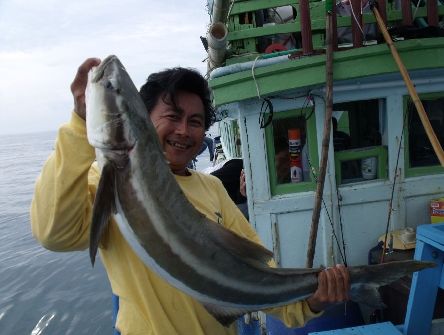 ชัดๆครับ :grin: :grin: :grin: