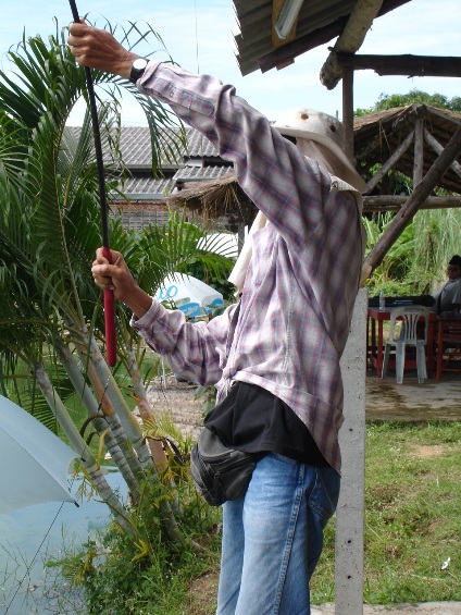 แรงดีจังวุ้ย :laughing: