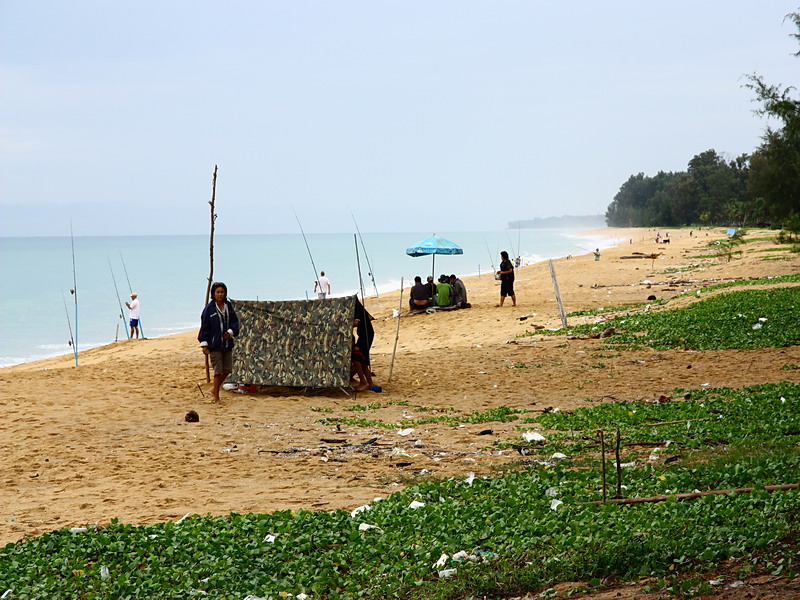  [b]กระจายกันไปทั่วแนวชายหาด ที่เปิด