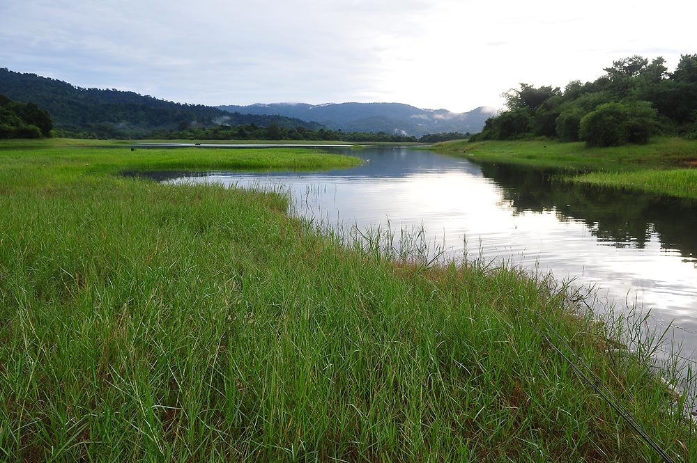 น้ำช่วงเช้า เงียบดีจัง  แบบนี้ มีลุ้น  :grin: :grin: :grin: :grin: