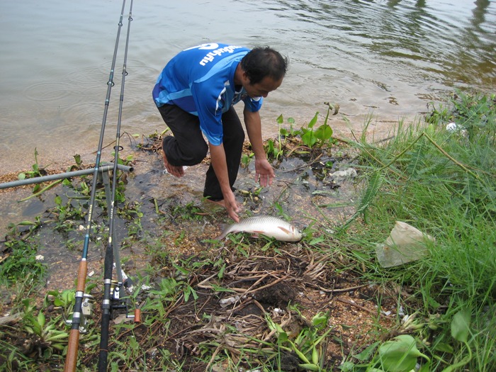 น้านัน ขอเป็นที่ซ้อนให้    ..แล้วกัน :laughing:
คำเตือนให้ดูปลา :laughing: