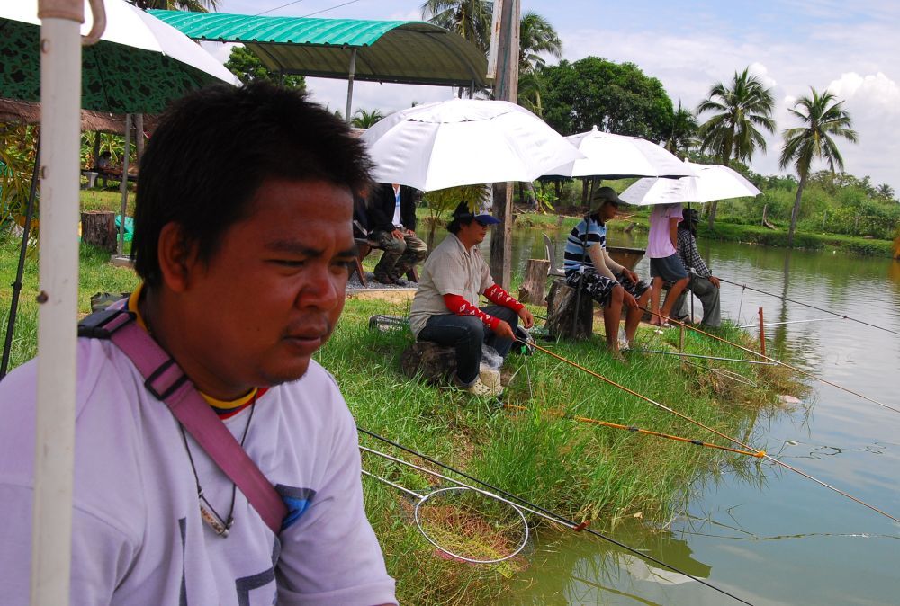 	สร้างบ้านเสร็จเรียงเป็นแถว