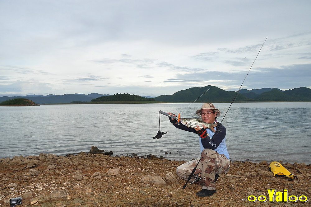 ขอ2ใบค๊าบน้าเอ....น้าเอจัดให้ :laughing: :laughing: :laughing: :laughing: :cheer: :cheer: :cheer: :c