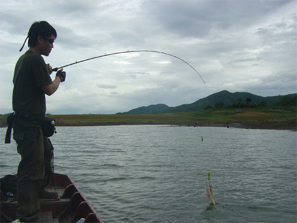 พอ ตกเย็นย้ายหมาย เอ๊ะยังไง ยิ่งเล็กลงๆเรื่อยๆ :laughing: :laughing: