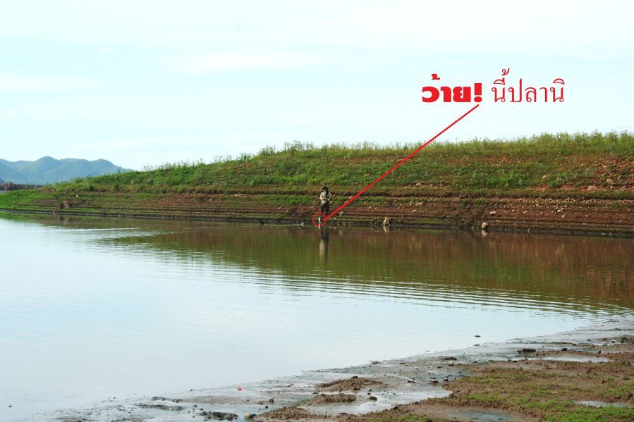 มาใอ้นี้ดิ...
วุ้ยมีปลามาด้วย55555 :laughing: 