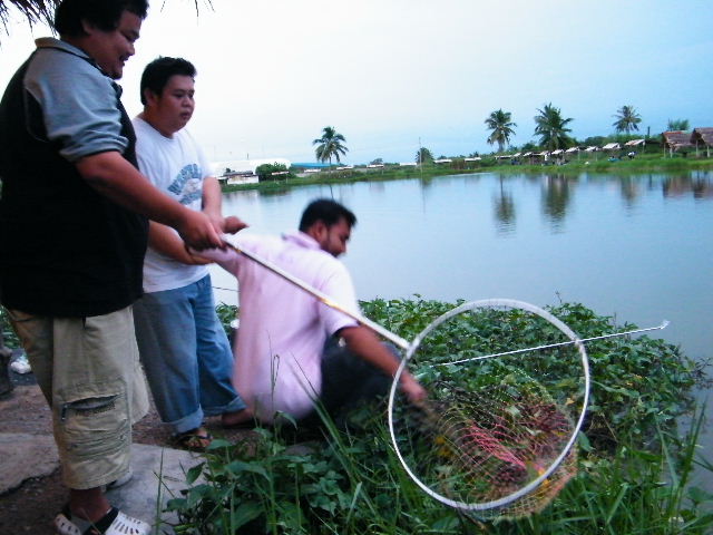 ปลาอ่ะไปแล้ว แต่อยากได้ทุ่นคืนครับ  พยายามทำทุกทางแล้ว  แต่ สายมาขาดซ้ะดื้อๆ กำ :cry: