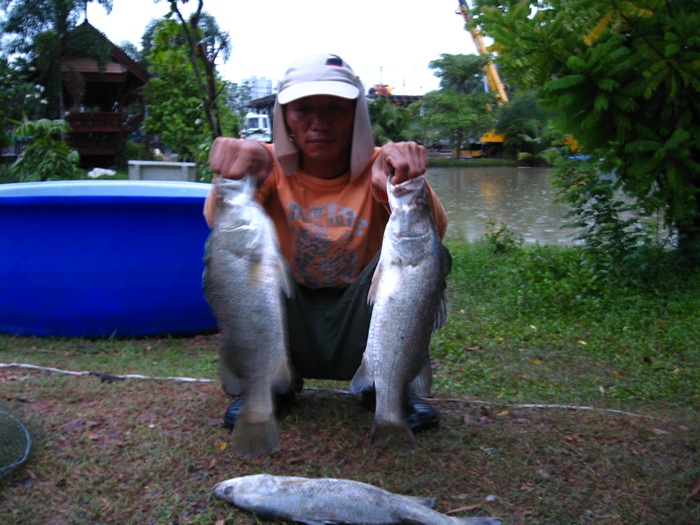 





                               ฝนตกครับ  กลับบ้านแล้ว  




                       