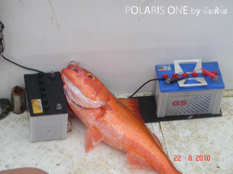 [q][i]อ้างถึง: time158 posted: 26-08-2553, 10:50:06[/i]

บวก..บวก.เล