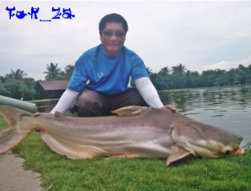 วิลลี่ จูเนียร์ ณ บึงสาธิต