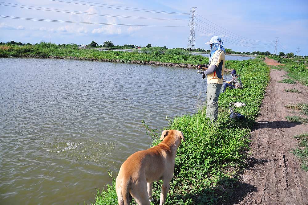 ดู๊ดู  ตอนผมได้มีเจ้าตัวนี้มายืนให้กำลังใจ :laughing: