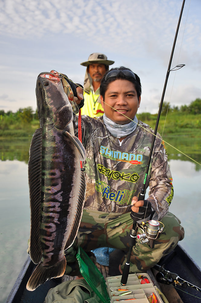 ขึ้นมาอวดโฉมแล้วครับหลังจากรอมานาน :umh: