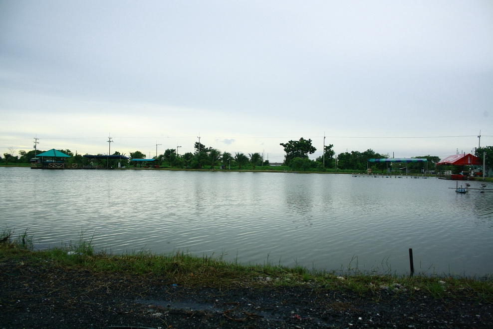 สถานที่เตรียมพร้อม เต้นท์ พักเหนื่อยหลบร้อน กระจาย 6 จุดทั่วบ่อ กรรมการ บันทึก จำนวนปลา ประจำแต่ละจุ