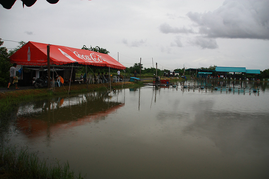 ฝนตกพรำ ๆ.....แอบเดินไปขย้ำข้าวต้มร้อน ๆ ที่คณะกรรมการเตรียมไว้ให้ก่อนดีก่า...
 :grin: :grin: :grin