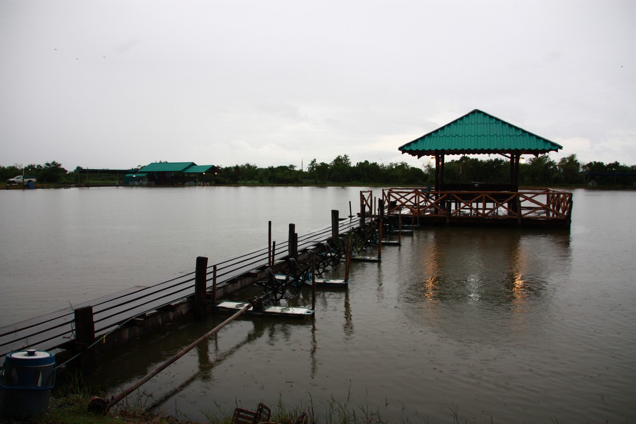 เห็นบ้านกลางน้ำแบบนี้อยากมีสักหลังไว้ต้อนรับเพื่อนๆจริงๆคร้าบบบบบบ บรรยากาศน่านั่งก๊งยาดอง :laughing