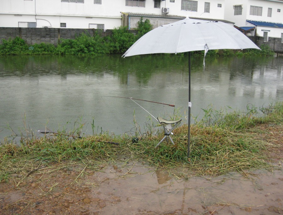 ฝนตกไม่แรงครับ พอจะสร้างบ้านได้  ลองตกบ่อเล็กก่อนดีกว่า ปลาน่าจะเข้าไว(คิดเอาเอง) :spineyes: :spiney