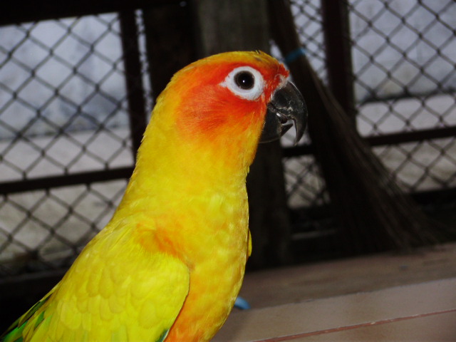 น้องเขาเป็นพนักงานต้อนรับในบ้านนะ