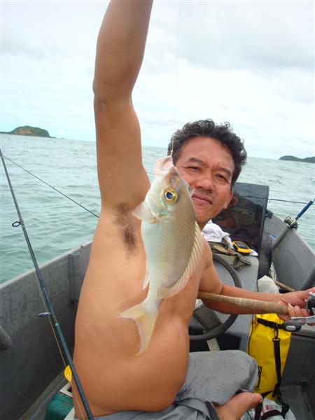น้าเทน   กับปลาหางบ่วง หรือ ขี้เหม็น    :cheer: :smile: