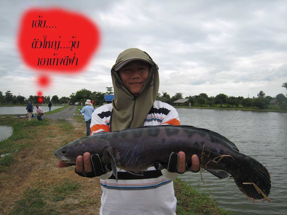 



ดูรูป......แล้ว..เห็น...คน......แอบบ...มอง...ดู...ไกลๆ.....


 :laughing: :laughing: :lau