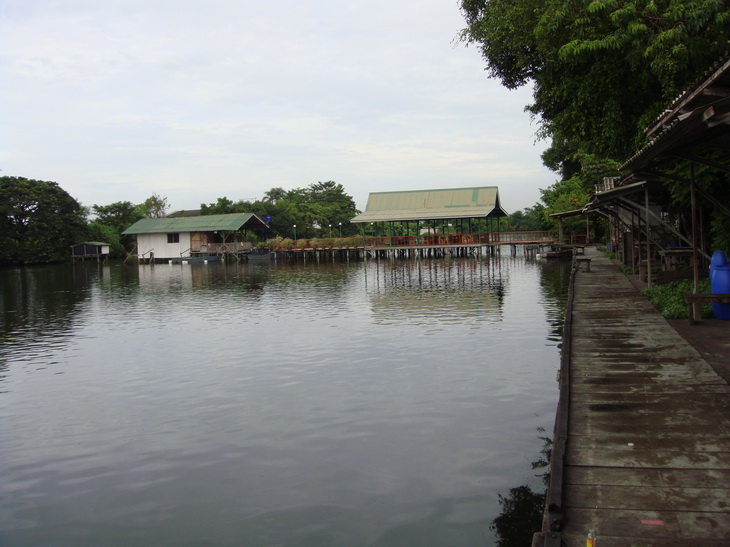 เก็บตกวันเสาร์ น้าโยชวนทานแห้วครับ