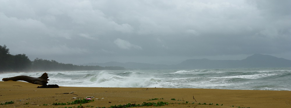 ได้ตัวกับเค้าซะที.. จากชายหาด