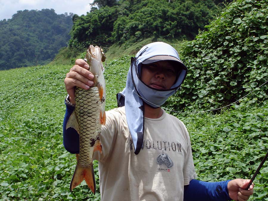 กระสูบต้นน้ำ  :cheer: :cheer: