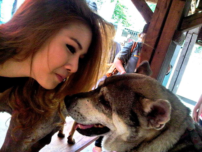 อ่าๆ นี้ครับเอามาจากบีบีแฟนโอ๊ค ตัวจี๊ดที่บ้านแสงตะวัน  :grin: :grin:

พนักงานต้อนรับมือวางอันดับห