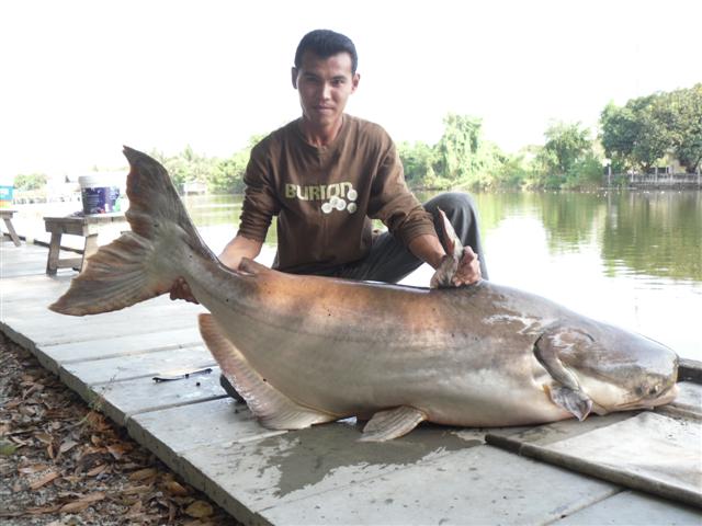 ฝากรูปนี้ให้น้องโอ้คนะคับเห็นว่ามาเงาน้ำครั้งเเรก ......ครั้งหน้าถ้ามาอีกอาจเจอใหญ่ๆๆก้อได้คับ  ขอบค