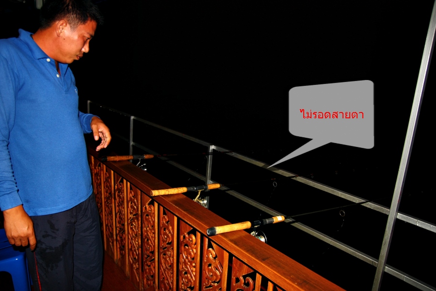 ยังไม่ลดละความย่อท้อ.....ตั้งใจ  กุ้งเป้งๆ  สักตัว  