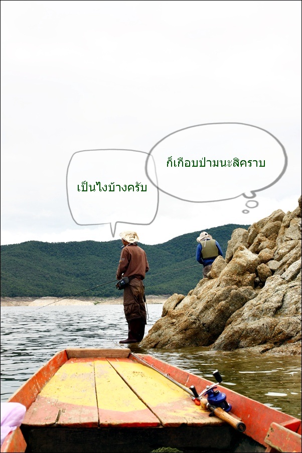 เป็นจังได้ผ่อง  น้องนพดล
