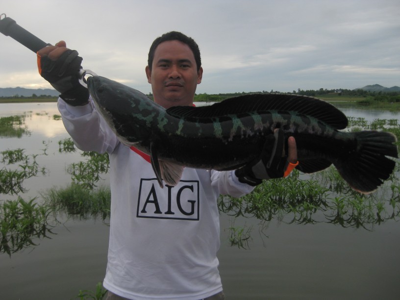 หวัดดีคร้าบน้าsamorn
หวัดดีคร้าบน้าEuro
หวัดดีคร้าบน้าOKI fishing club
หวัดดีคร้าบน้าd2010
หวัดด