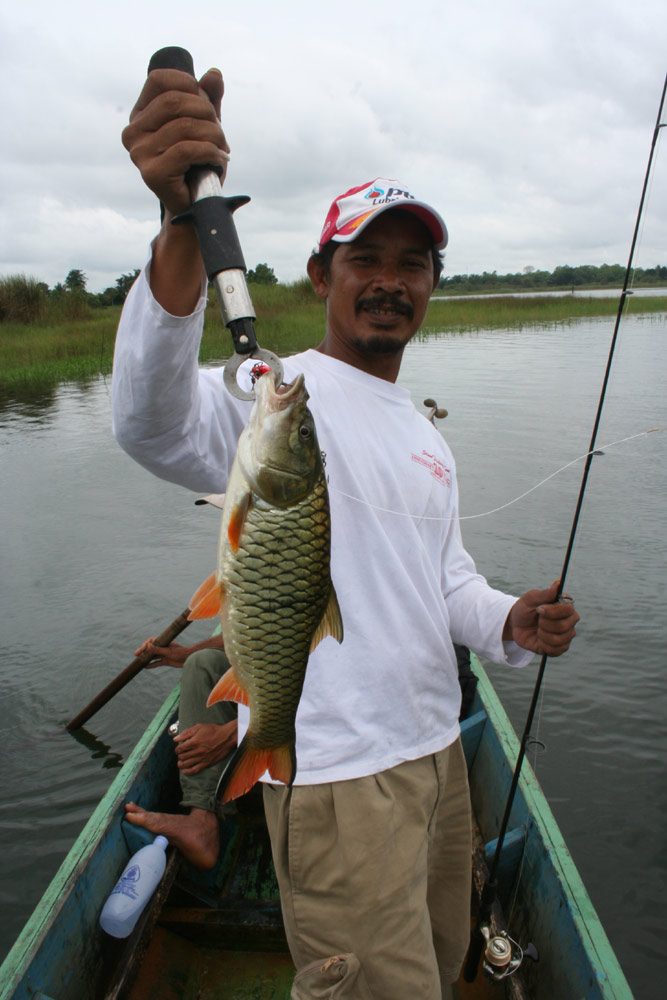 [q][i]อ้างถึง: nonm_actionlure posted: 04-09-2553, 18:06:47[/i]



ป๊าดดดดดดดดดดดดดดดดดดดดดดดด  