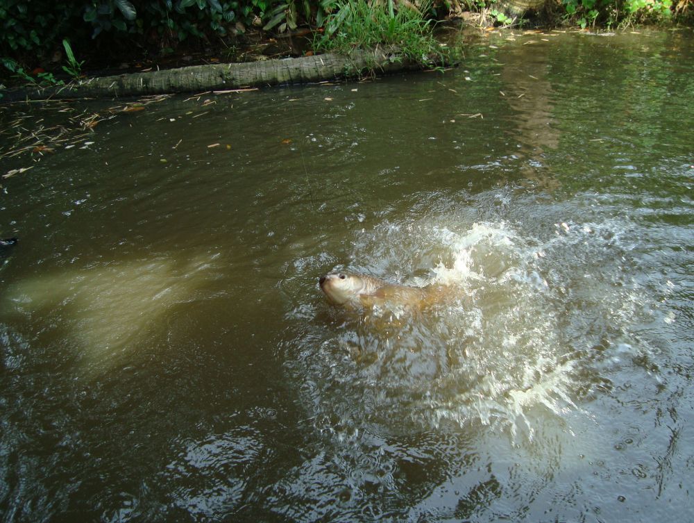 มีเวลาถ่ายมันอยู่นานเลย :laughing: :laughing: :grin: :