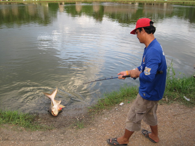 เทียบท่าจอดครับ
 :talk: :talk: :talk: