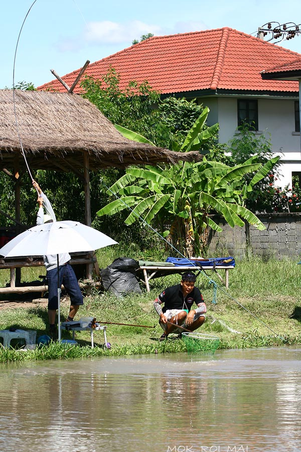 แต่ น้า พิชัยทีมเดียวกัน สอยขึ้นมาก่อน 1 หน่วย  