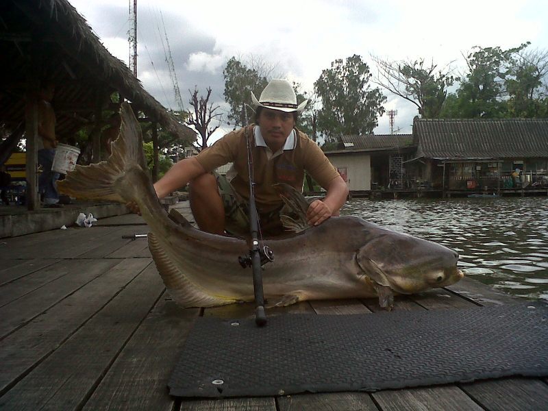 [q][i]อ้างถึง: amm posted: 06-09-2553, 12:36:20[/i]

ขอบคุณน้าป้อง..ที่ทำให้ทีมเด็กวัดดูสูสี..ในรา