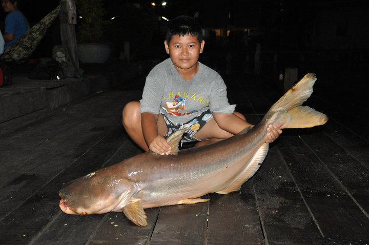 ตัวนี้ฝีเท้าเฮ้ยฝีมือคับ :laughing: :laughing: :laughing: :laughing: :laughing:
