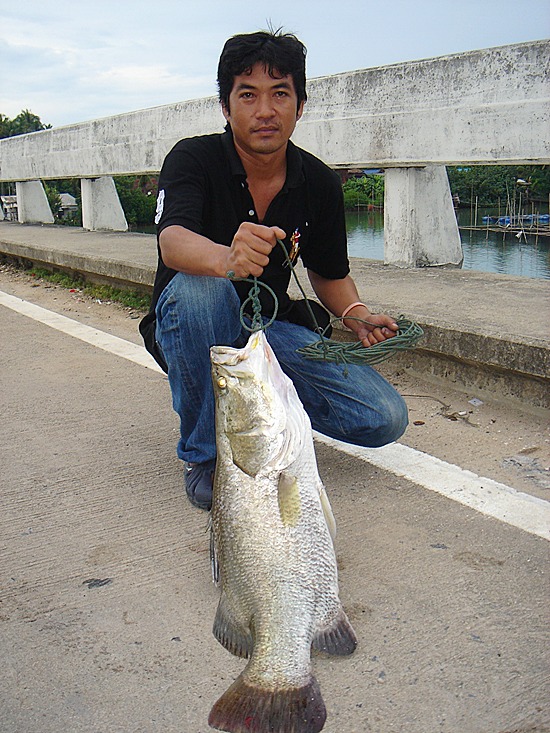 ขอด้วยคนคร๊าบบ..  :cool: :cool: :cool: :cool: