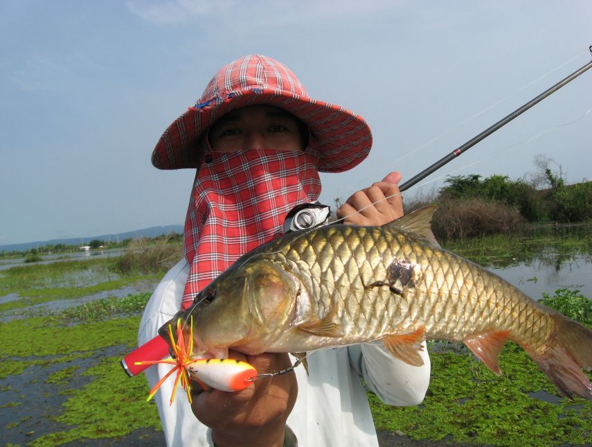 สวัสดีครับน้า fishingjoke

สวัสดีครับน้า พรานน้ำกร่อย

 :rose: :rose: :rose: :rose: